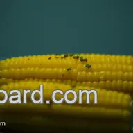 Microwave Corn on the Cob: Easiest, Juiciest Ever!
