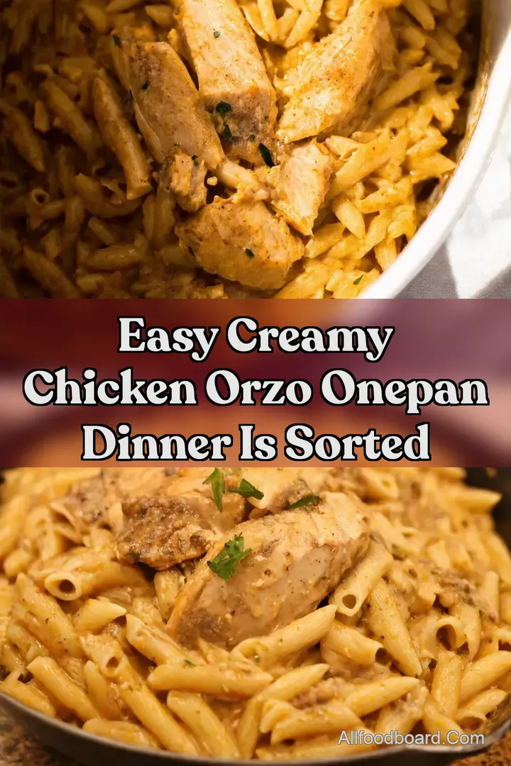 Easy Creamy Chicken Orzo OnePan Dinner is Sorted : PIN FOR LATER Easy Creamy Chicken Orzo OnePan Dinner is Sorted